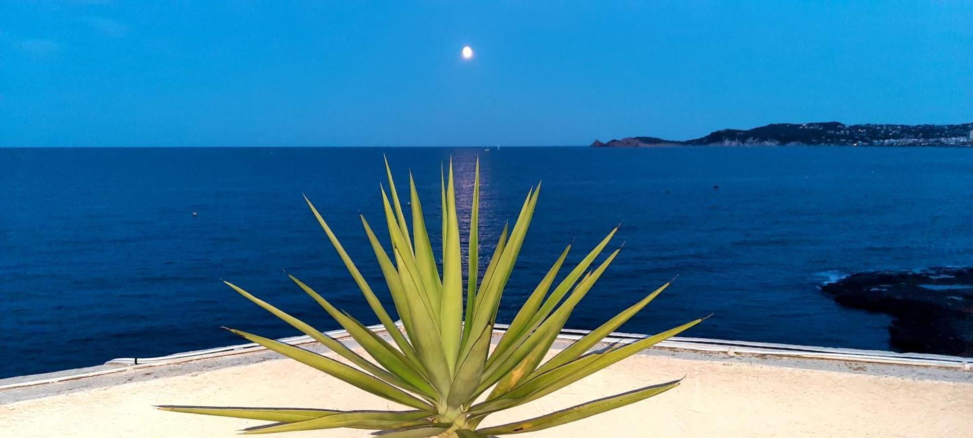Ferienwohnung La Casa Del Port Jávea Exterior foto